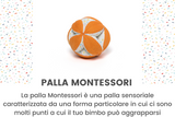 5-6 mesi - Play Box 'Cosa succede?'