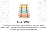 17-18 mesi - Play Box 'Distruttore'