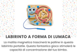 21-22 mesi - Play Box 'Piccolo Einstein'